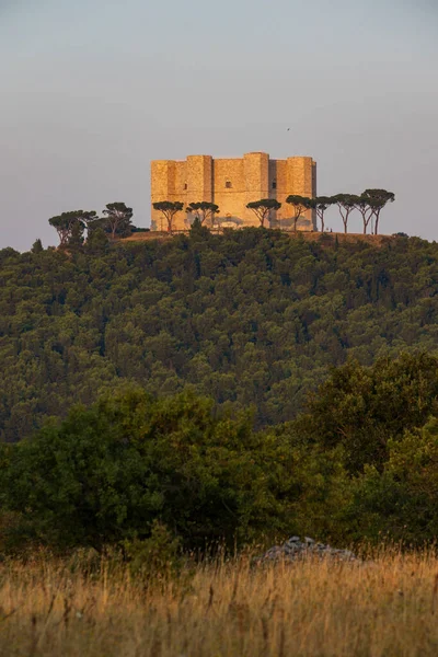 モンテ城 Castel Del Monte イタリア プーリア地方の13世紀に神聖ローマ皇帝フリードリヒ2世によって八角形に建てられた城 — ストック写真