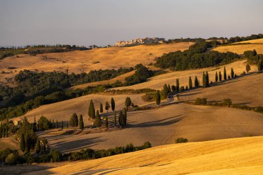 Cipressi di Monticchielo, İtalya, Montepulciano yakınlarındaki Tipik Toskana manzarası