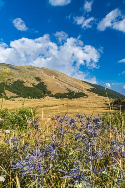 Národní Park Abruzzo Barrey Lazia Molise Itálie — Stock fotografie