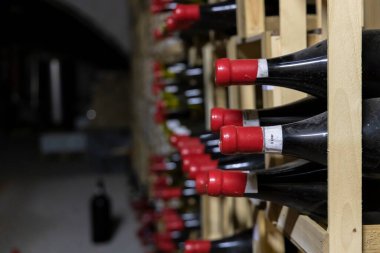 Thallern şarap mahzeninde, Viyana yakınlarında Gumpoldskirchen, Aşağı Avusturya, Avusturya