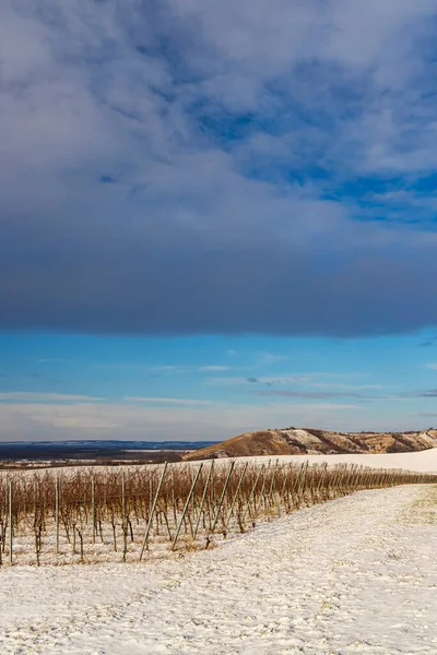 Winter Landscape Popice Southern Moravia Czech Republic — Stock Photo, Image