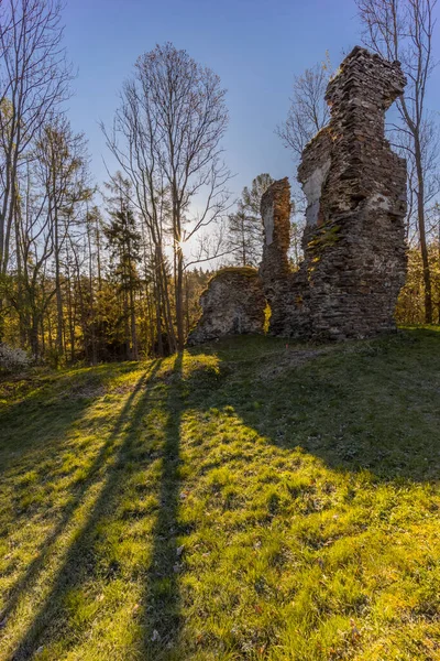 Ruinas Chlum Del Siglo Xiii Cerca Zbysov Bohemia Central República —  Fotos de Stock