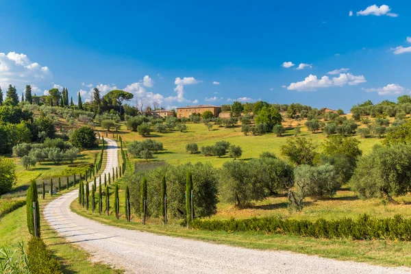 Typisch Toscaans Landschap Buurt Van Montepulciano Monticchielo Italië — Stockfoto