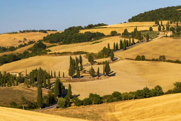Cipressi Monticchielo イタリアのMontepulciano近くの典型的なトスカーナの風景 — ストック写真
