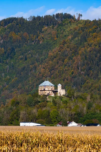 Замок Хаймбург Каринтии Австрия — стоковое фото