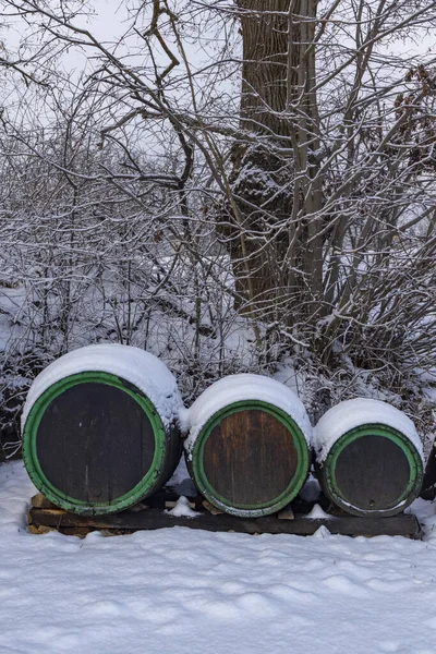 Wine barrels, Southern Moravia, Czech Republic
