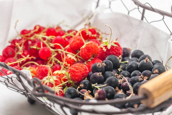 Fresh Summer Fruit Basket — Stock Photo, Image