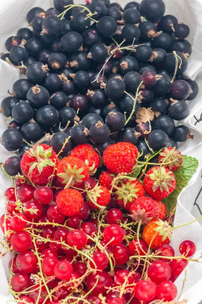 Fruta Fresca Verão Cesta — Fotografia de Stock