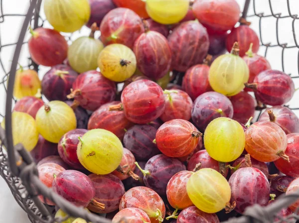 Mixture Gooseberries Basket — Stock Photo, Image