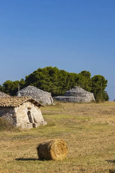 Trulli Talya Nın Apulia Bölgesindeki Castel Del Monte Yakınlarında Tipik — Stok fotoğraf