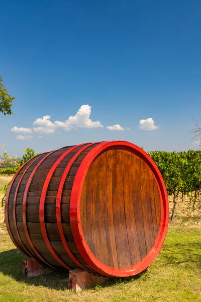 Wine Barrel Vineyard Tuscany Italy — Stock Photo, Image