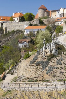 Vineyard Znojmo Kasabası, Güney Moravya Çek Cumhuriyeti