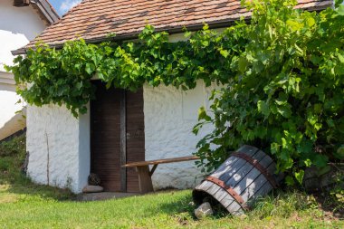 Şarap mahzeni, Staatz, Mistelbach Bölgesi, Aşağı Avusturya, Avusturya