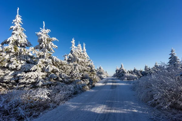 Winterlandschap Bij Velka Destna Orlicke Mountains Oost Bohemen Tsjechië — Stockfoto