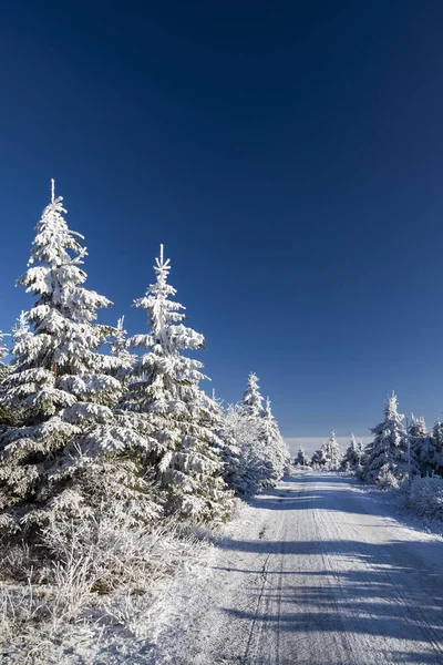 Winterlandschap Bij Velka Destna Orlicke Mountains Oost Bohemen Tsjechië — Stockfoto