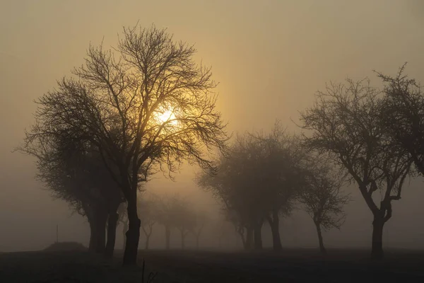 Amanecer Cerca Znojmo Moravia Del Sur República Checa — Foto de Stock