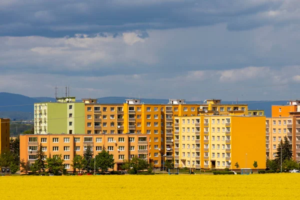 Miasto Zatec Pole Rzepaku Północnych Czechach Czechy — Zdjęcie stockowe