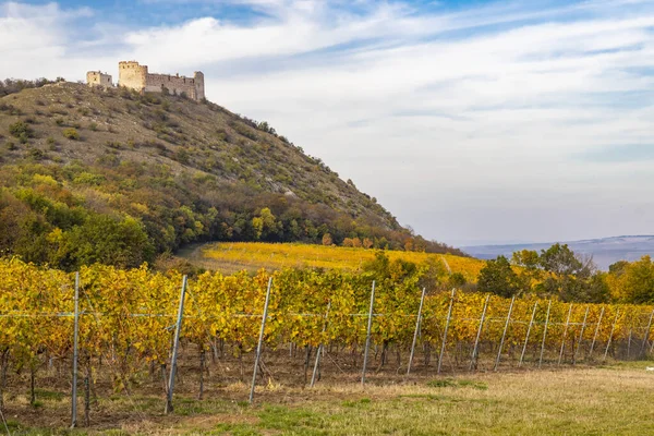 Ruinen Der Teufelsburg Mit Weinbergen Tschechische Republik — Stockfoto