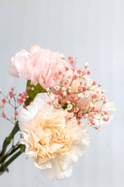 Beyaz arka planda çiçeklerle dolu bir hayat