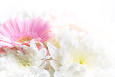 Beyaz arka planda çiçeklerle dolu bir hayat