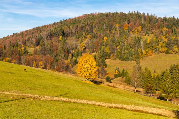 Autumn Landscape Saddle Beskyd Slovakia — Stock Photo, Image