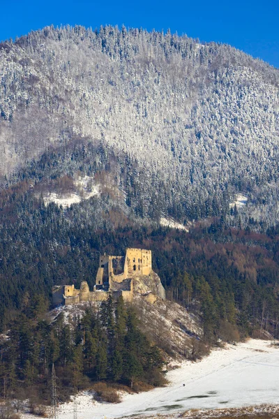 Руины Ликавы Возле Ружомберока Горах Шокске Словакия — стоковое фото