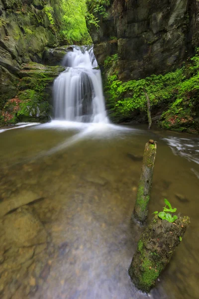 Resov Vandfald Floden Huntava Nizky Jesenik Det Nordlige Moravia Tjekkiet - Stock-foto