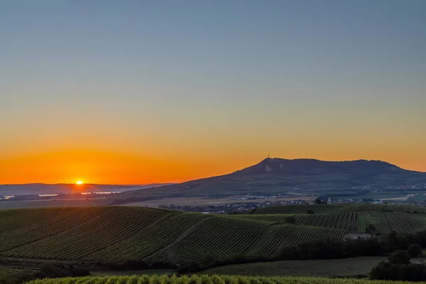 Zonsopkomst Wijngaarden Onder Palava Zuid Moravië Tsjechië — Stockfoto