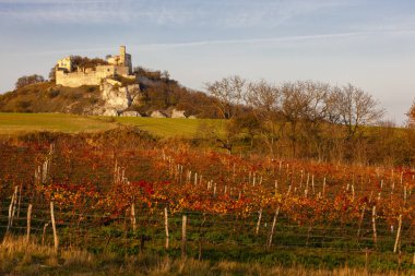 Sonbaharda Falkenstein Şatosu, Avusturya