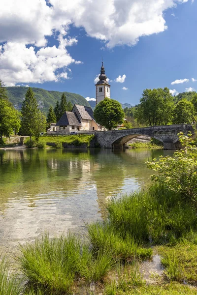 Slovenya Daki Triglav Ulusal Parkı Nda Bohinj Gölü — Stok fotoğraf