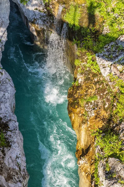 Vattenfall Till Floden Soca Velika Korita Soce Triglavski Nationalpark Slovenien — Stockfoto