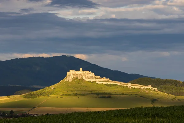 Ruine Château Spissky Slovaquie — Photo