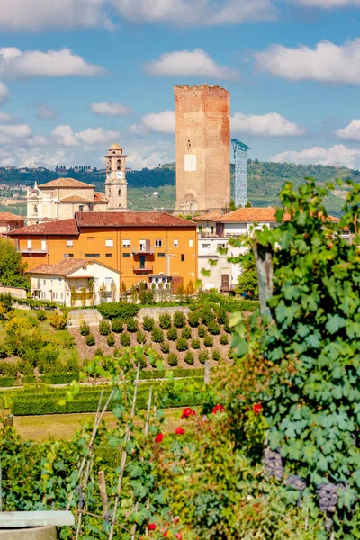 Barbaresco Aldeia Vinhas Unesco Site Piemonte Norte Itália — Fotografia de Stock