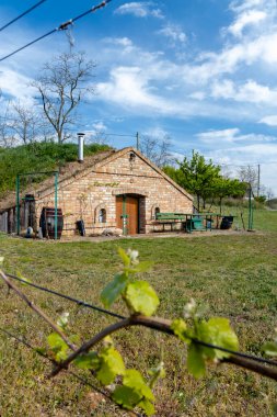 Şarap mahzeni, Palava bölgesi, Güney Moravya, Çek Cumhuriyeti