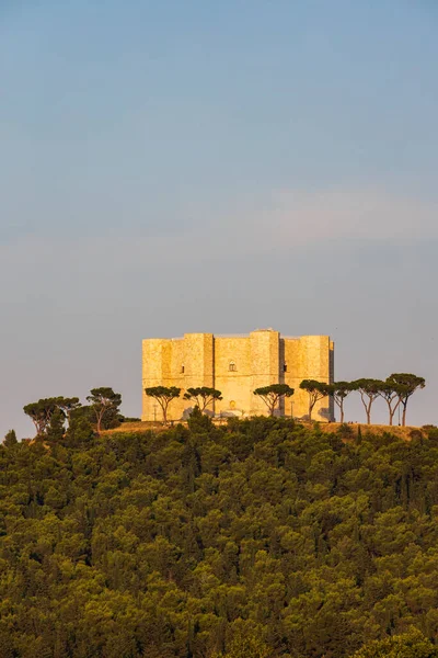 Castel Del Monte Castelo Construído Forma Octogonal Pelo Sacro Imperador — Fotografia de Stock