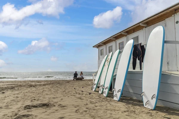 Surfbrætter Cartello Strand Nær Orbetello Toscana Italien - Stock-foto