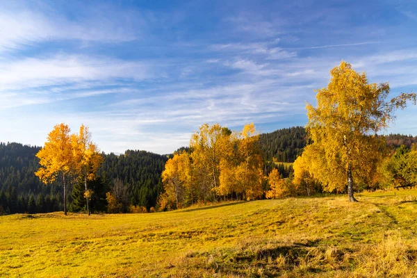 Autumn Landscape Saddle Beskyd Slovakia — Stock Photo, Image