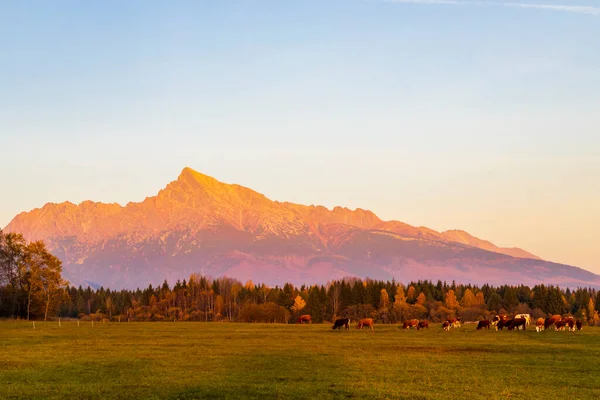 Krivan Hight Tatras Slovakia — Stock Photo, Image