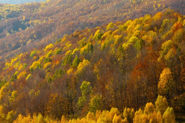 Nationalpark Slovensky Raj Slovakien — Stockfoto