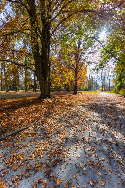 スロバキアのベタリー城近くの公園 — ストック写真