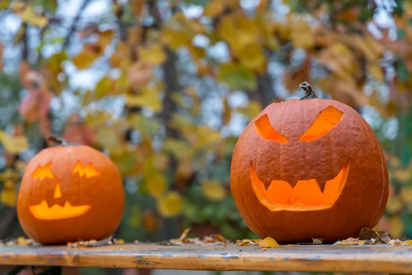 Calabaza Halloween Naturaleza Muerta Otoño —  Fotos de Stock