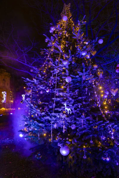 Christmas Tree Vienna Austria Stock Picture