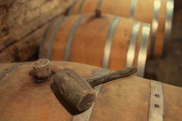 Wooden Oak Barrels Winery Nearby Batorove Kosihy Slovakia — Stock Photo, Image
