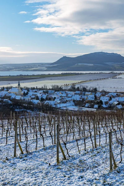 チェコ共和国南モラヴィアのソンベルク近郊のパラヴァの冬のブドウ畑 — ストック写真
