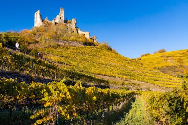 Senftenberg harabeleri, Krems-Land District, Aşağı Avusturya, Avusturya