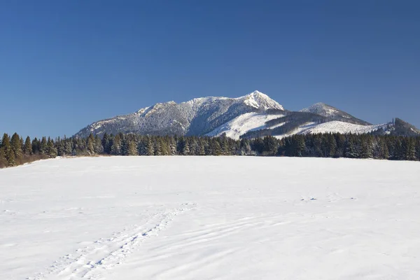 Winter Landscape Nearby Oravice Western Tatras Rohace Slovakia — Stock Photo, Image