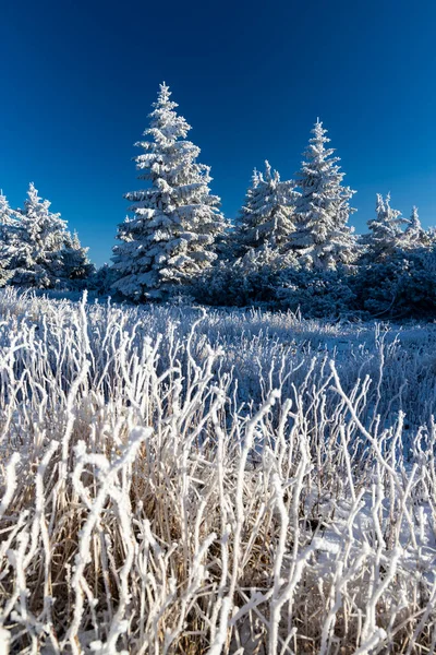 チェコ共和国東ボヘミアのオルリケ山脈ヴェルカ デストナ付近の冬の風景 — ストック写真