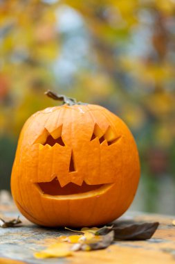 Cadılar bayramı balkabağı, sonbahar durgun hayat