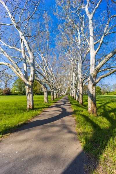 Vicolo Aereo Nel Parco Del Castello Straznice Moravia Meridionale Repubblica — Foto Stock