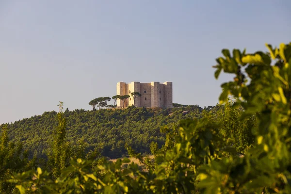 Castel Del Monte Castello Costruito Forma Ottagonale Dall Imperatore Federico — Foto Stock
